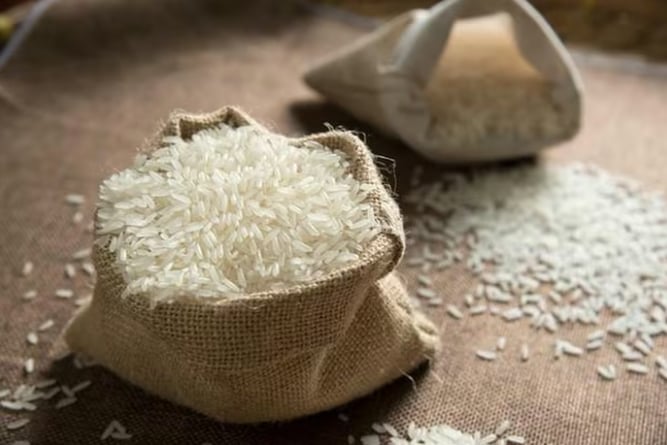 Gạo lứt, gạo đen hay gạo đỏ tốt nhất cho sức khỏe đường ruột và tim mạch?